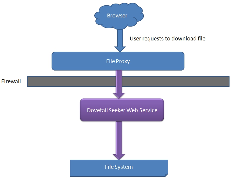 File Proxy